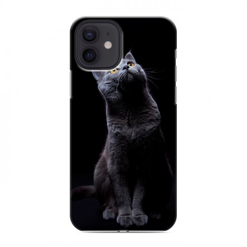 Дизайнерский силиконовый чехол для Iphone 12 Кошки