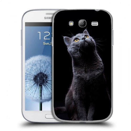 Дизайнерский пластиковый чехол для Samsung Galaxy Grand Кошки