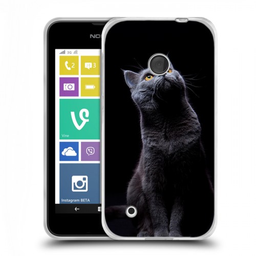 Дизайнерский пластиковый чехол для Nokia Lumia 530 Кошки