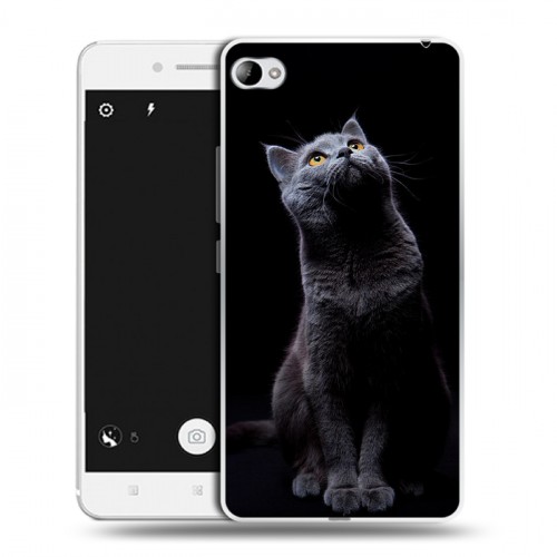 Дизайнерский пластиковый чехол для Lenovo S90 Кошки