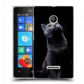 Дизайнерский пластиковый чехол для Microsoft Lumia 435 Кошки