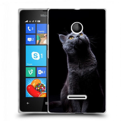 Дизайнерский пластиковый чехол для Microsoft Lumia 435 Кошки