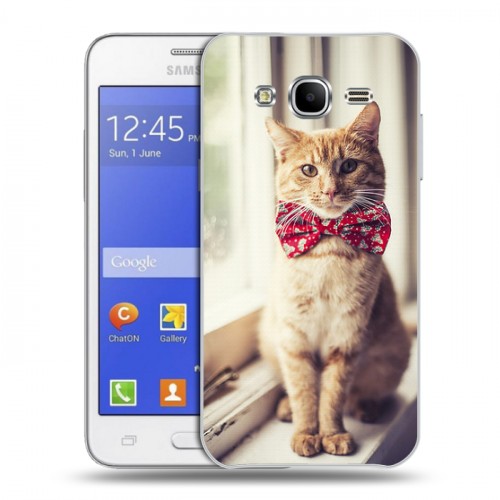 Дизайнерский пластиковый чехол для Samsung Galaxy J7 Кошки