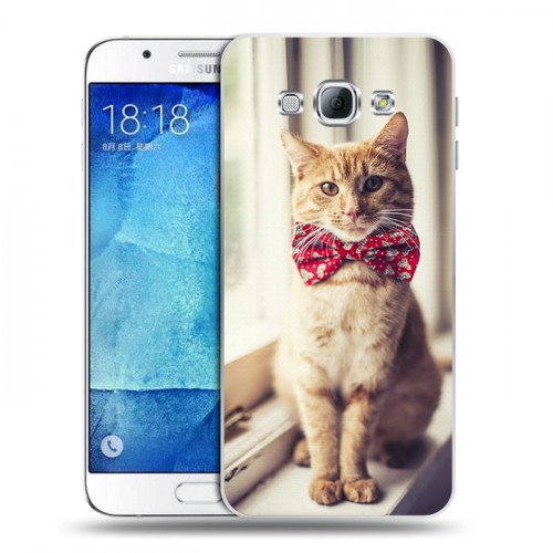 Дизайнерский пластиковый чехол для Samsung Galaxy A8 Кошки
