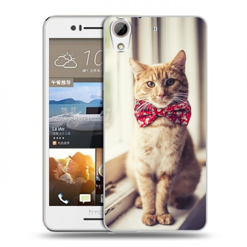 Дизайнерский пластиковый чехол для HTC Desire 728 Кошки
