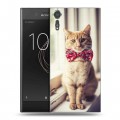 Дизайнерский пластиковый чехол для Sony Xperia XZs Кошки