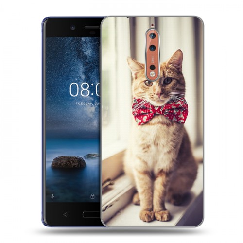 Дизайнерский пластиковый чехол для Nokia 8 Кошки