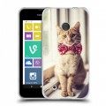 Дизайнерский пластиковый чехол для Nokia Lumia 530 Кошки