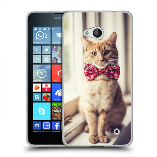 Дизайнерский пластиковый чехол для Microsoft Lumia 640 Кошки