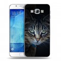 Дизайнерский пластиковый чехол для Samsung Galaxy A8 Кошки