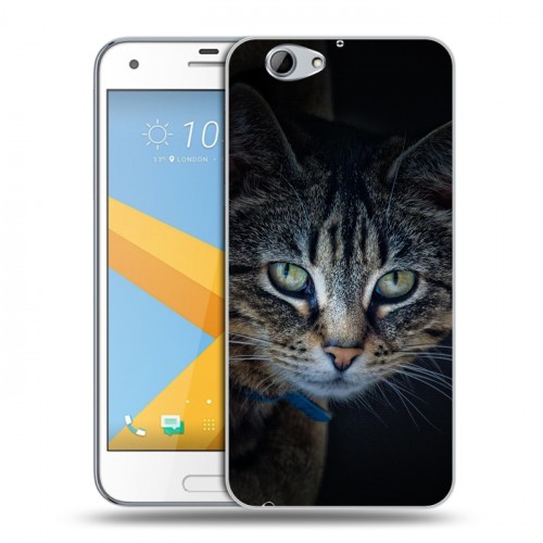 Дизайнерский пластиковый чехол для HTC One A9S Кошки