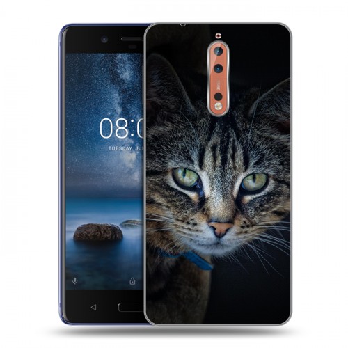 Дизайнерский пластиковый чехол для Nokia 8 Кошки