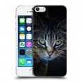 Дизайнерский пластиковый чехол для Iphone 5s Кошки
