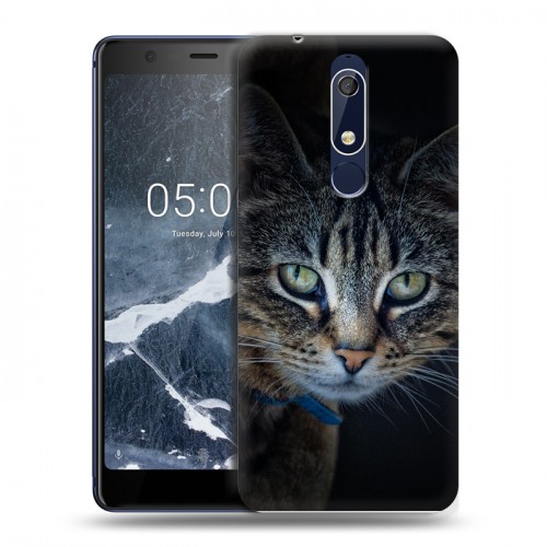 Дизайнерский пластиковый чехол для Nokia 5.1 Кошки