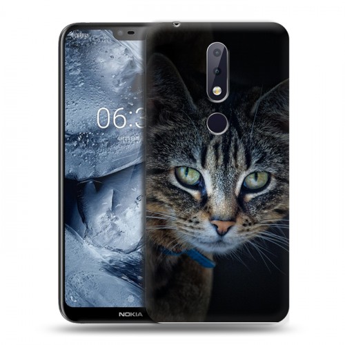 Дизайнерский пластиковый чехол для Nokia 6.1 Plus Кошки