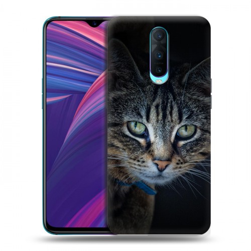 Дизайнерский пластиковый чехол для OPPO RX17 Pro Кошки