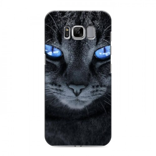 Дизайнерский силиконовый чехол для Samsung Galaxy S8 Кошки