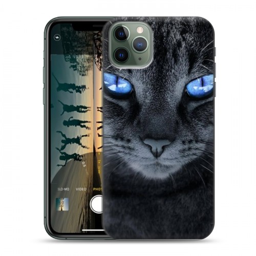Дизайнерский пластиковый чехол для Iphone 11 Pro Max Кошки
