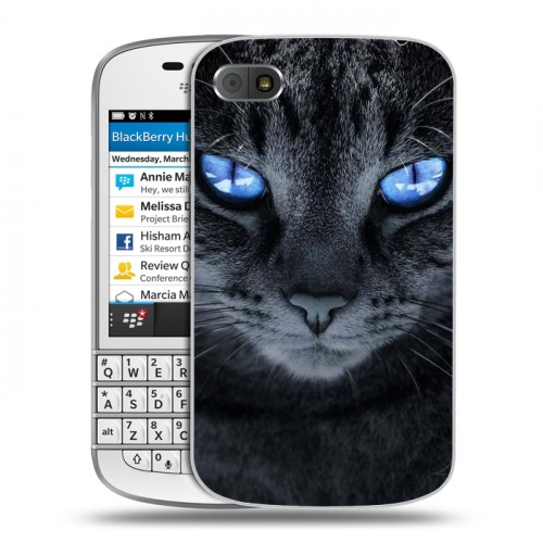 Дизайнерский пластиковый чехол для BlackBerry Q10 Кошки