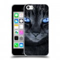 Дизайнерский пластиковый чехол для Iphone 5c Кошки