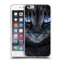 Дизайнерский силиконовый чехол для Iphone 6 Plus/6s Plus Кошки