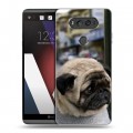 Дизайнерский пластиковый чехол для LG V20 Собаки