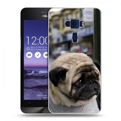 Дизайнерский пластиковый чехол для Asus ZenFone 3 5.2 Собаки