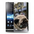 Дизайнерский пластиковый чехол для Sony Xperia S Собаки