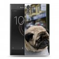 Дизайнерский пластиковый чехол для Sony Xperia XZs Собаки