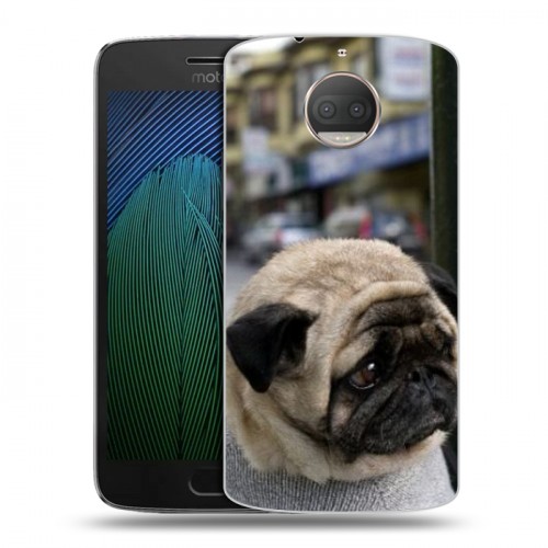 Дизайнерский пластиковый чехол для Motorola Moto G5s Plus Собаки