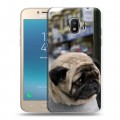 Дизайнерский пластиковый чехол для Samsung Galaxy J2 (2018) Собаки