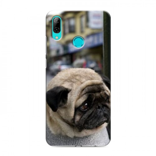 Дизайнерский пластиковый чехол для Huawei Y7 (2019) Собаки