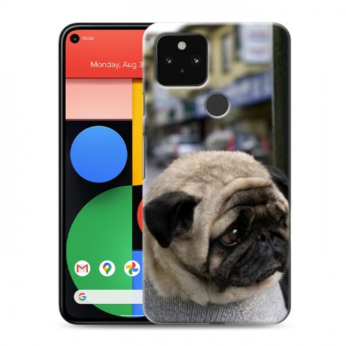 Дизайнерский пластиковый чехол для Google Pixel 5 Собаки