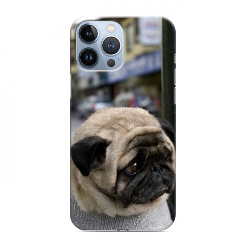 Дизайнерский силиконовый чехол для Iphone 13 Pro Max Собаки