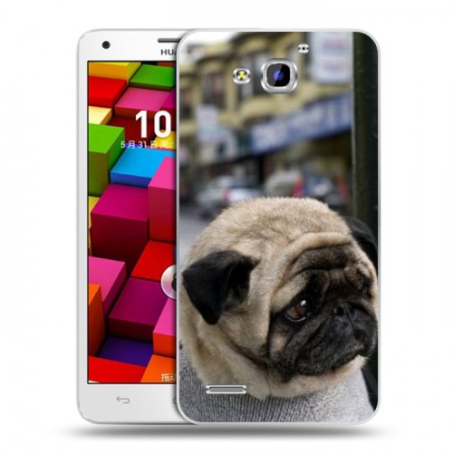 Дизайнерский пластиковый чехол для Huawei Honor 3x Собаки