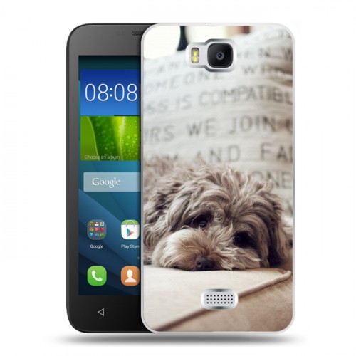 Дизайнерский пластиковый чехол для Huawei Y5c Собаки