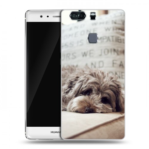 Дизайнерский пластиковый чехол для Huawei P9 Plus Собаки