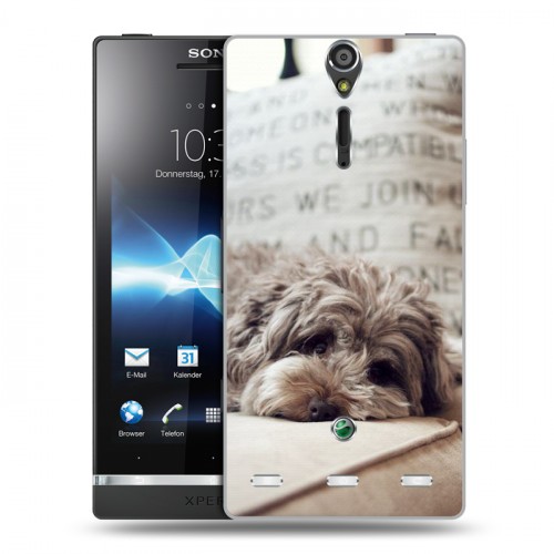 Дизайнерский пластиковый чехол для Sony Xperia S Собаки