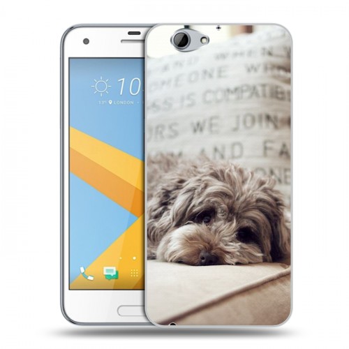Дизайнерский силиконовый чехол для HTC One A9S Собаки