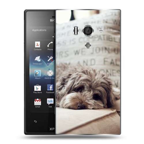 Дизайнерский пластиковый чехол для Sony Xperia acro S Собаки