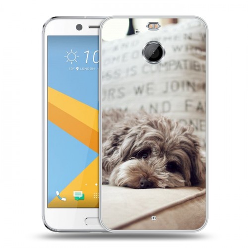 Дизайнерский пластиковый чехол для HTC 10 evo Собаки