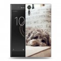 Дизайнерский пластиковый чехол для Sony Xperia XZs Собаки