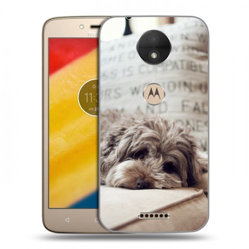 Дизайнерский пластиковый чехол для Motorola Moto C Собаки