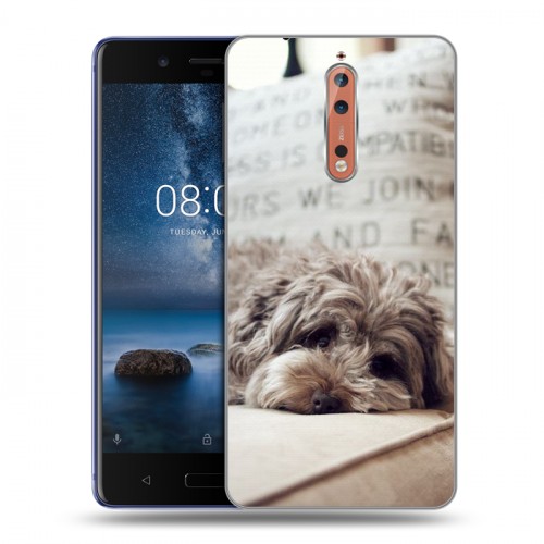 Дизайнерский пластиковый чехол для Nokia 8 Собаки