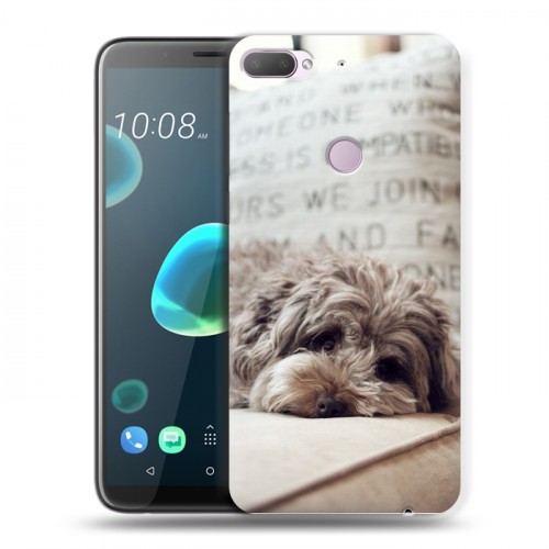 Дизайнерский силиконовый чехол для HTC Desire 12 Plus Собаки