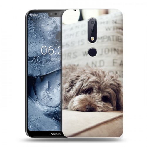 Дизайнерский пластиковый чехол для Nokia 6.1 Plus Собаки