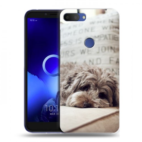 Дизайнерский пластиковый чехол для Alcatel 1S (2019) Собаки