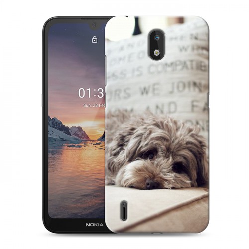 Дизайнерский силиконовый чехол для Nokia 1.3 Собаки