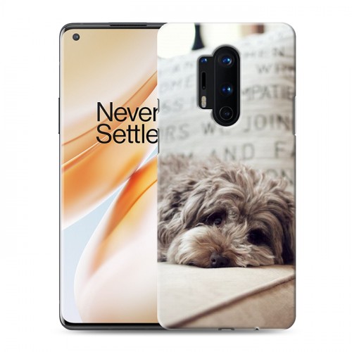 Дизайнерский силиконовый чехол для OnePlus 8 Pro Собаки