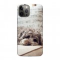 Дизайнерский силиконовый чехол для Iphone 12 Pro Max Собаки